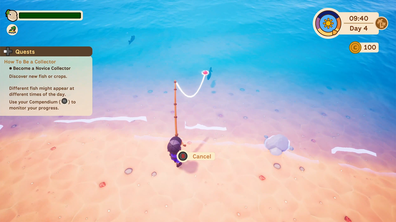 Screenshot from Collectors Cove