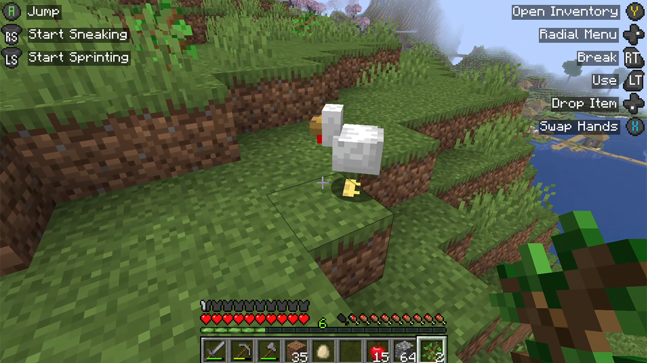 Screenshot from Minecraft