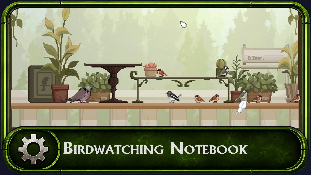 Birdwatching Notebook video thumbnail