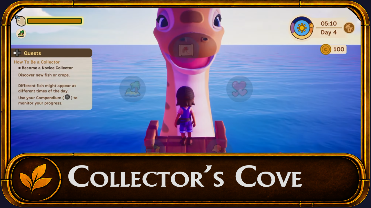 Collectors Cove video thumbnail