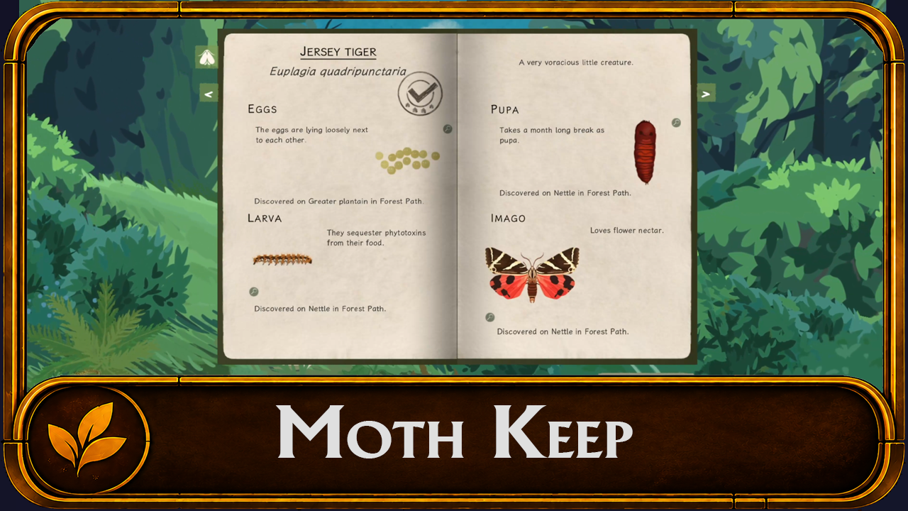 Mothkeep video thumbnail